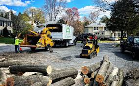 Best Lawn Renovation and Restoration  in Defuniak Springs, FL
